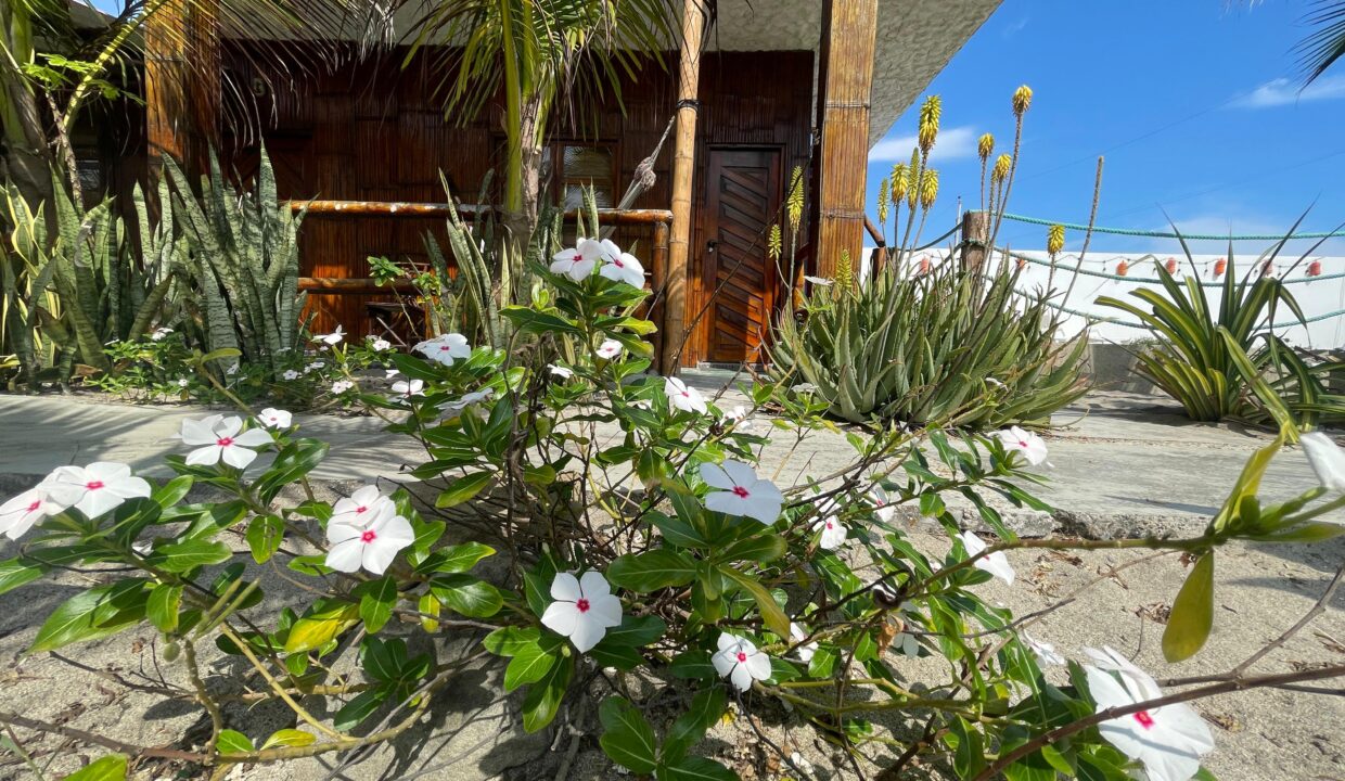 4920ddb0-e248-4a8b-9948-0b3d25f591cb