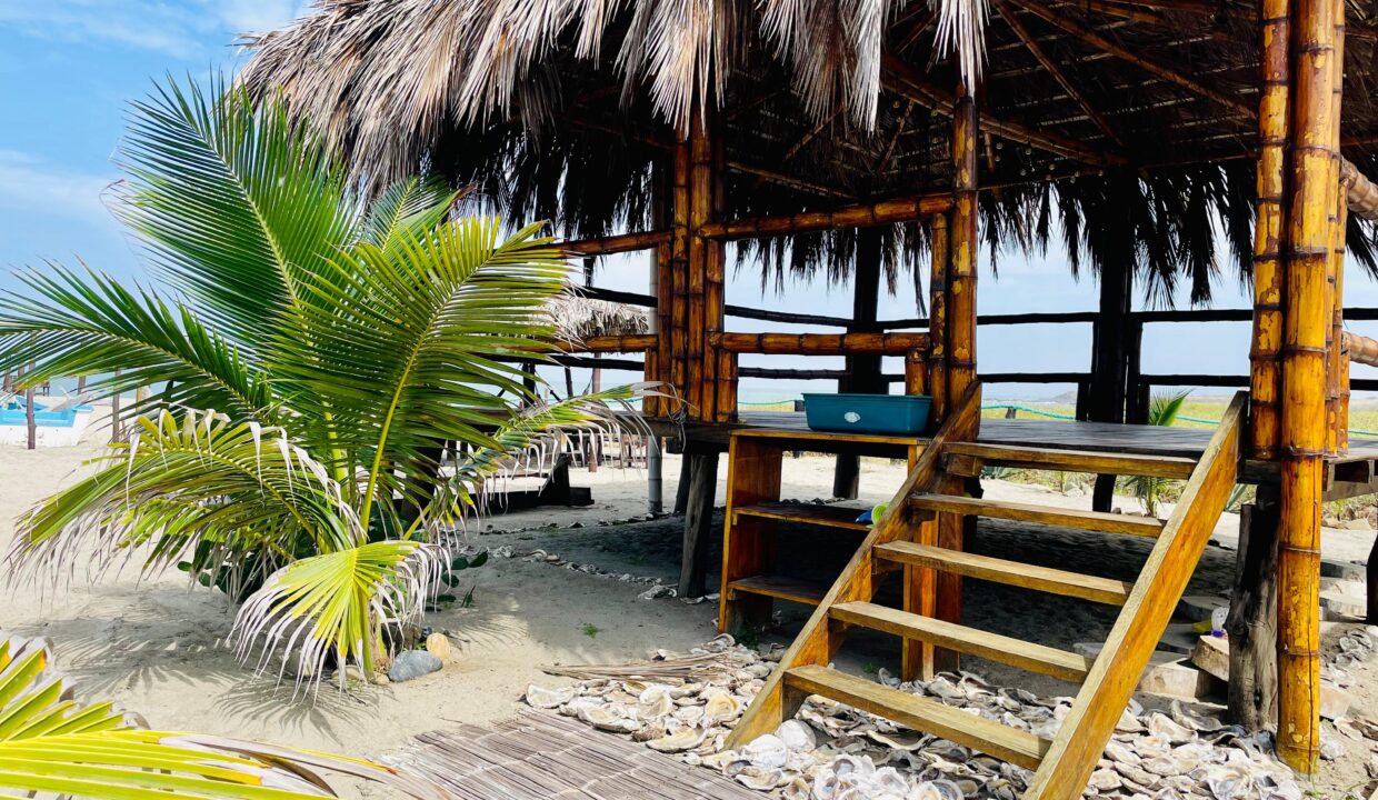 6dbd4579-e06e-4d7e-9732-b64b67621ae5