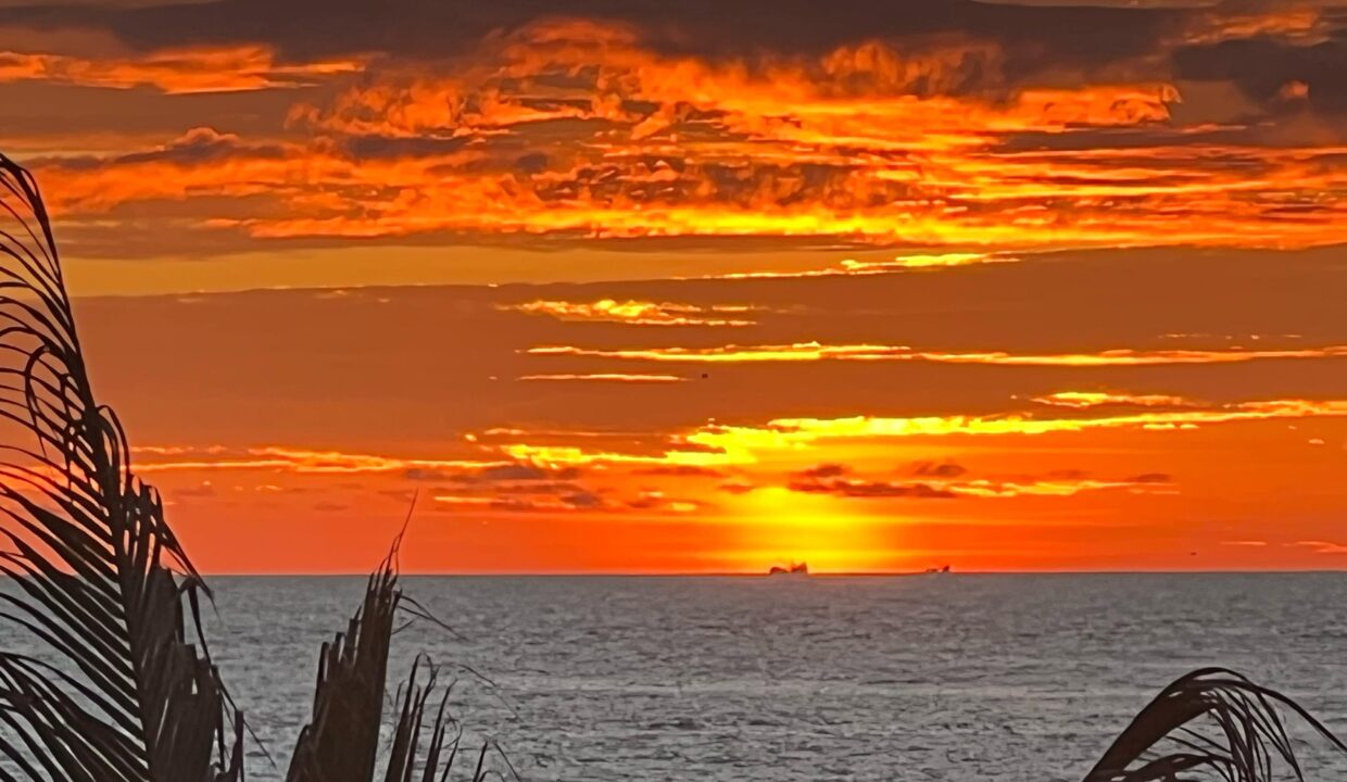 ab6ab43f-a40a-4f2e-aa18-bbeff8ffa5c3