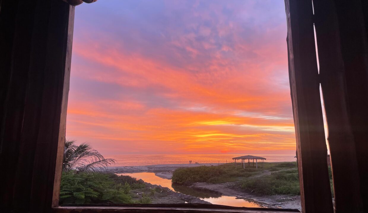 ba880967-9997-476c-a7d3-d4f79bcde1a6