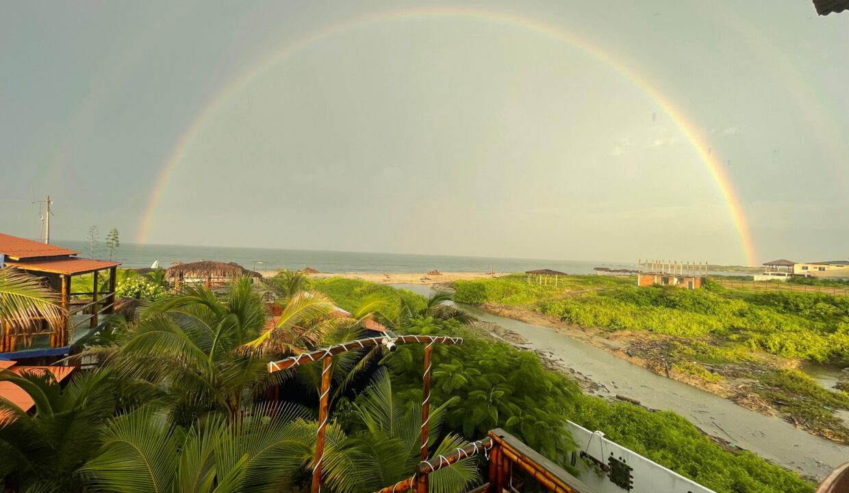 d41af64b-35db-41ee-a8b7-e305d81d8592