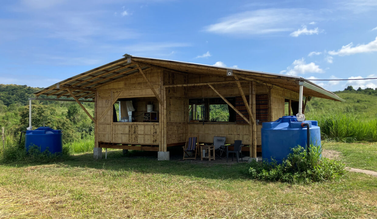 Cabin 5