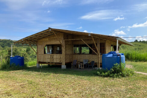 Cabin 5