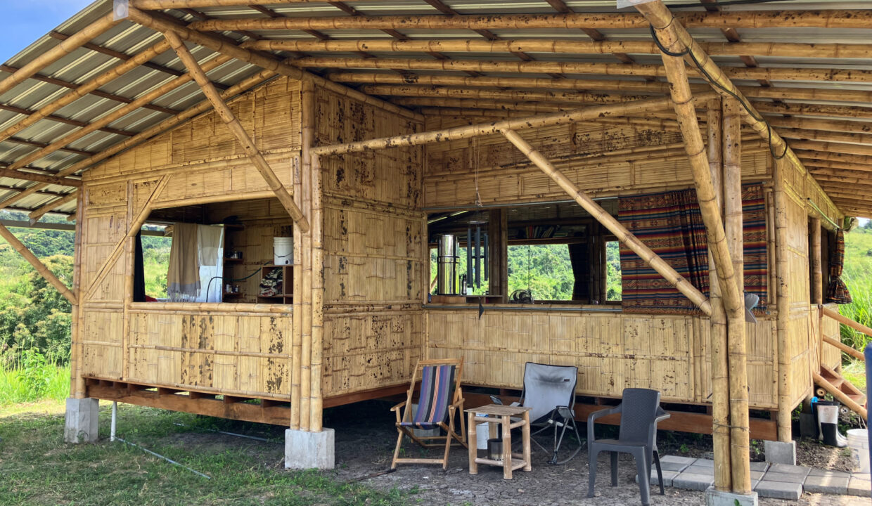 Cabin 6