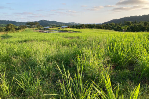 Farm 1