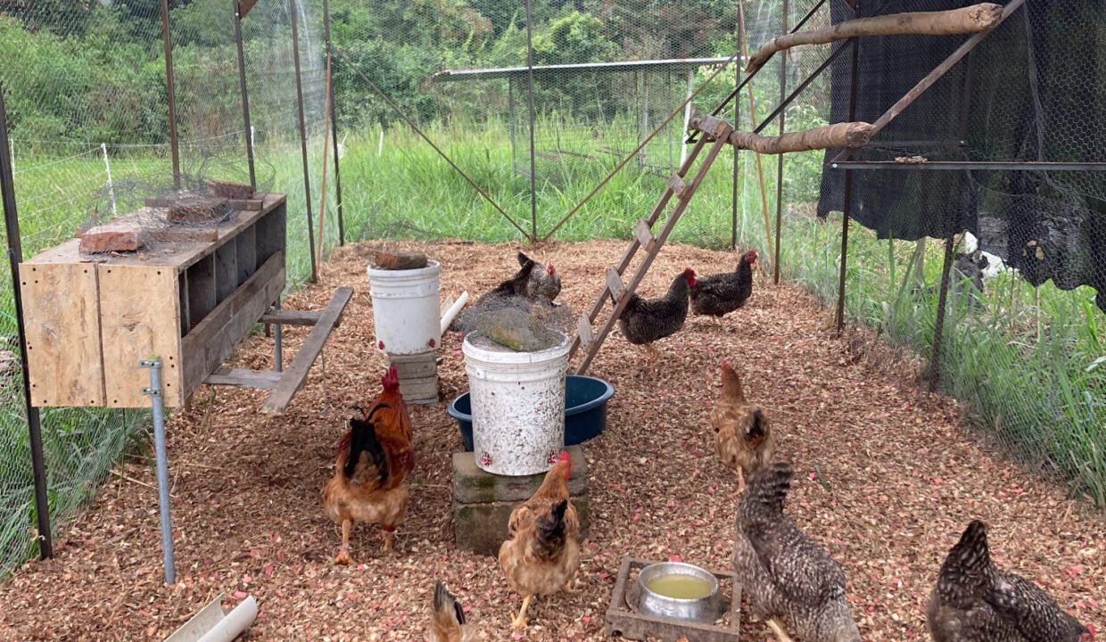 Farm 10