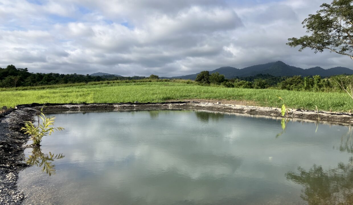 Farm 2