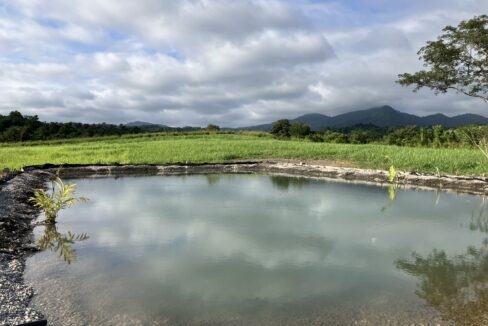 Farm 2