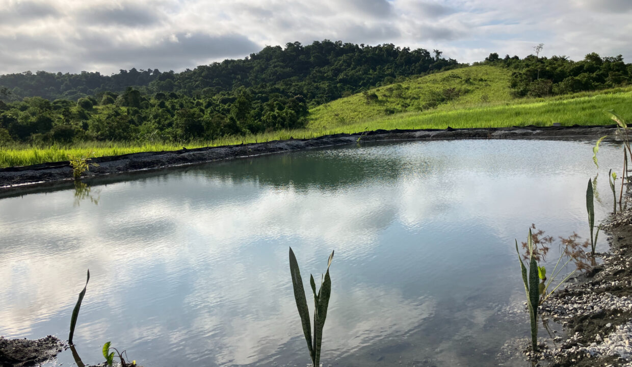 Farm 4