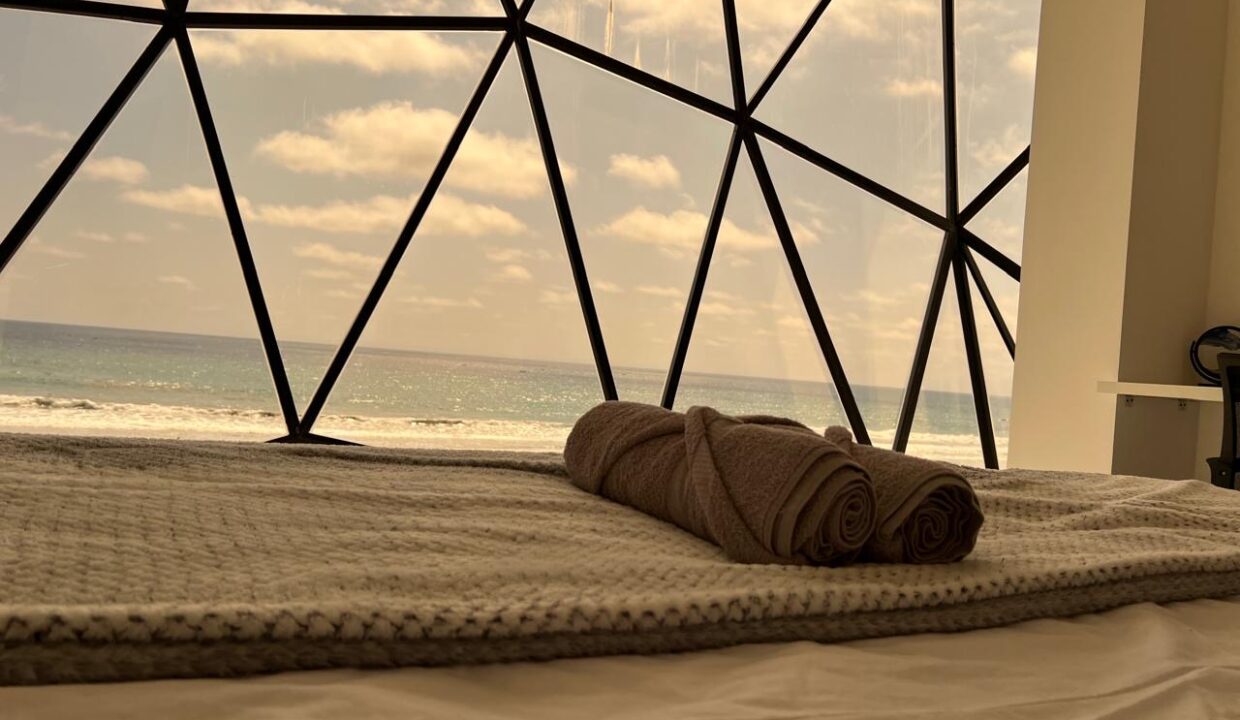 00a8c030-cfa1-4254-811e-b774e24e8f41