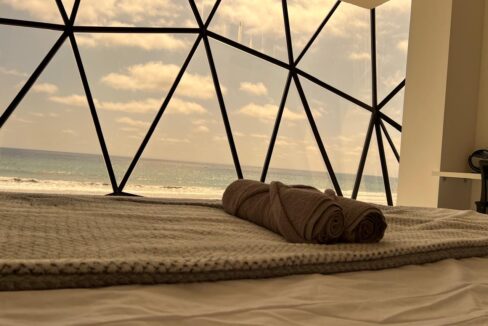 00a8c030-cfa1-4254-811e-b774e24e8f41