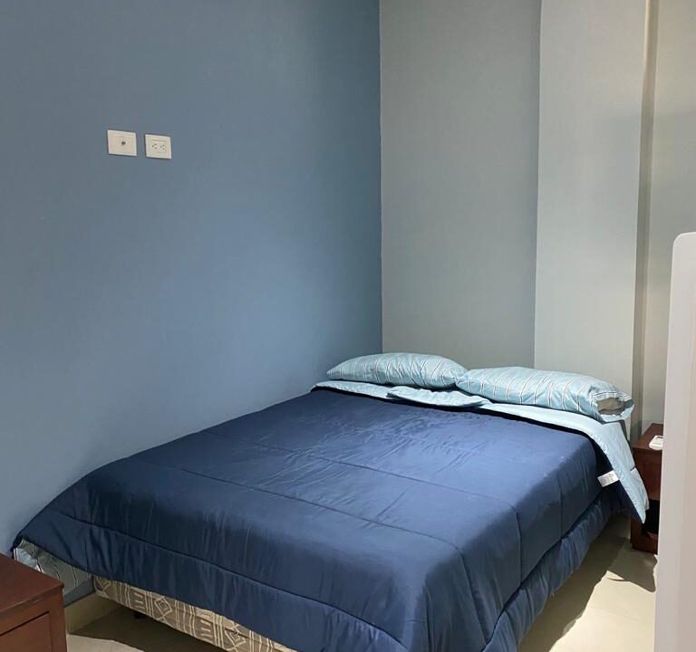 1af7706e-844d-468c-85be-41449cebe7f2