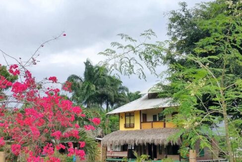 292199da-0548-43f2-8cc5-edae41b996cb 4