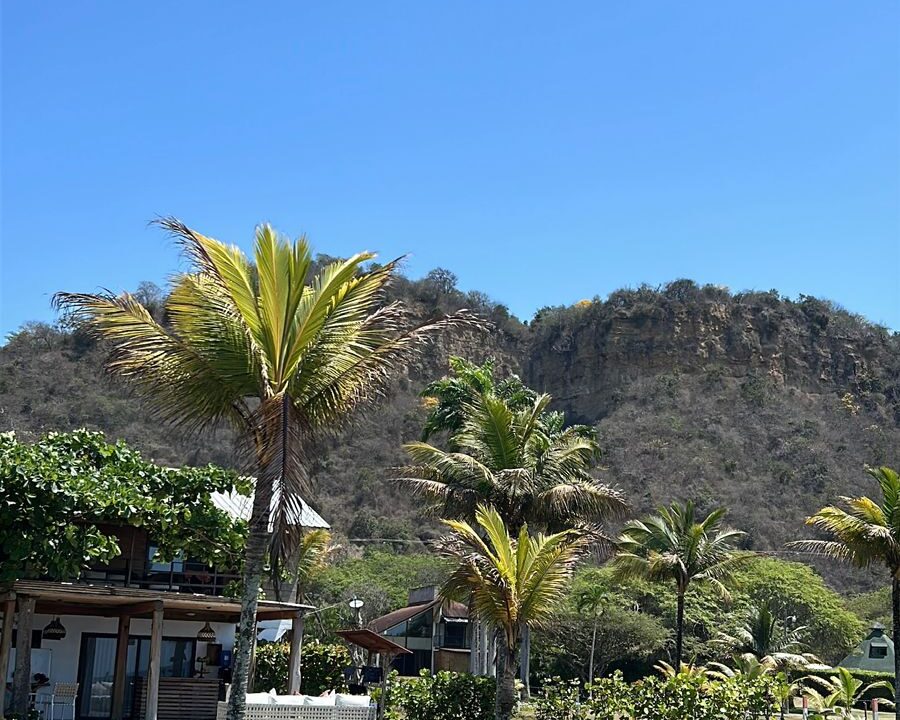 PHOTO-2026-01-06-10-59-47