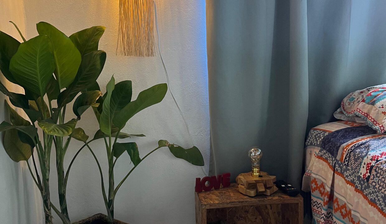 PHOTO-2026-02-13-11-31-01 2