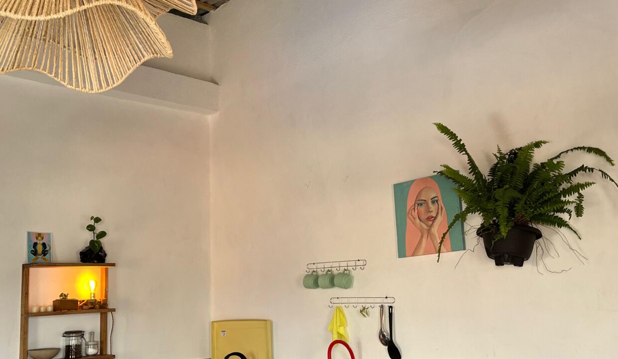 PHOTO-2026-02-13-11-31-04 3