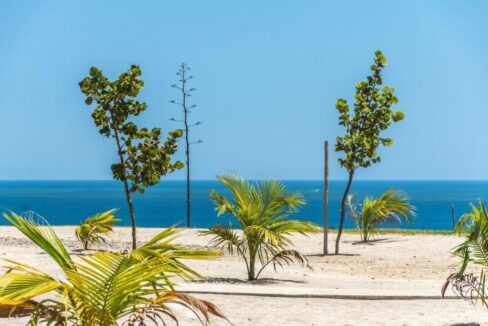 PHOTO-2026-03-16-16-45-37 2