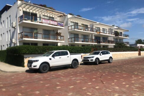 bf28e9f2-4dfa-4fb8-aa59-8cf1ae94402a