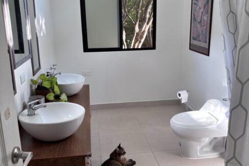 4df6d147-bd1e-49e2-8679-a66ce353ca60