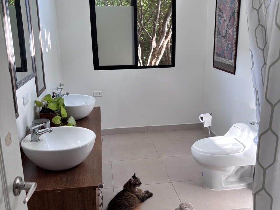 4df6d147-bd1e-49e2-8679-a66ce353ca60