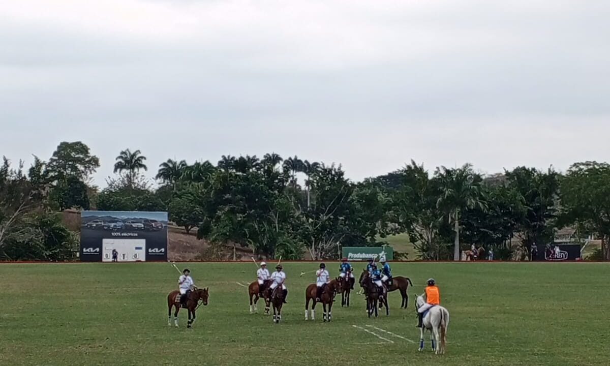 5d51ac59-9437-44f3-b767-325b7ed0e8e8