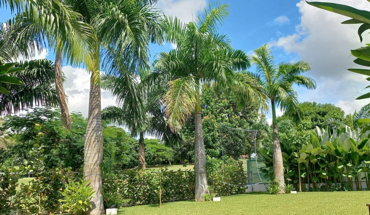 612c1003-9258-48e2-a722-02cee4a4a45c