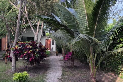 87ea6a2e-09c8-4e0f-8e69-b9287b362f7e