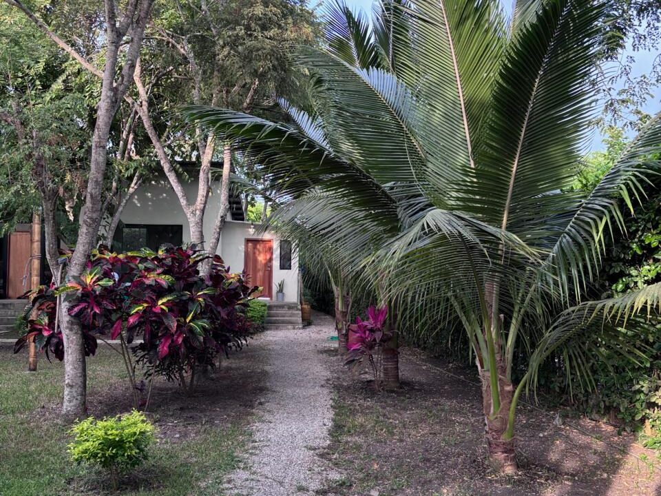 87ea6a2e-09c8-4e0f-8e69-b9287b362f7e