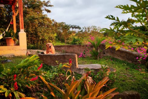 JARDIN CON FIRE PIT