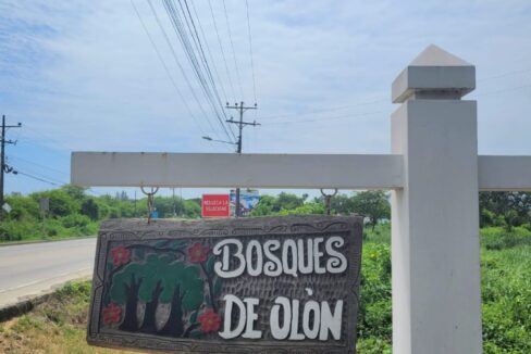 PHOTO-2025-09-02-14-44-20 4