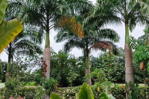 cbd4a3ae-c878-43c3-8103-384bf376cfcc