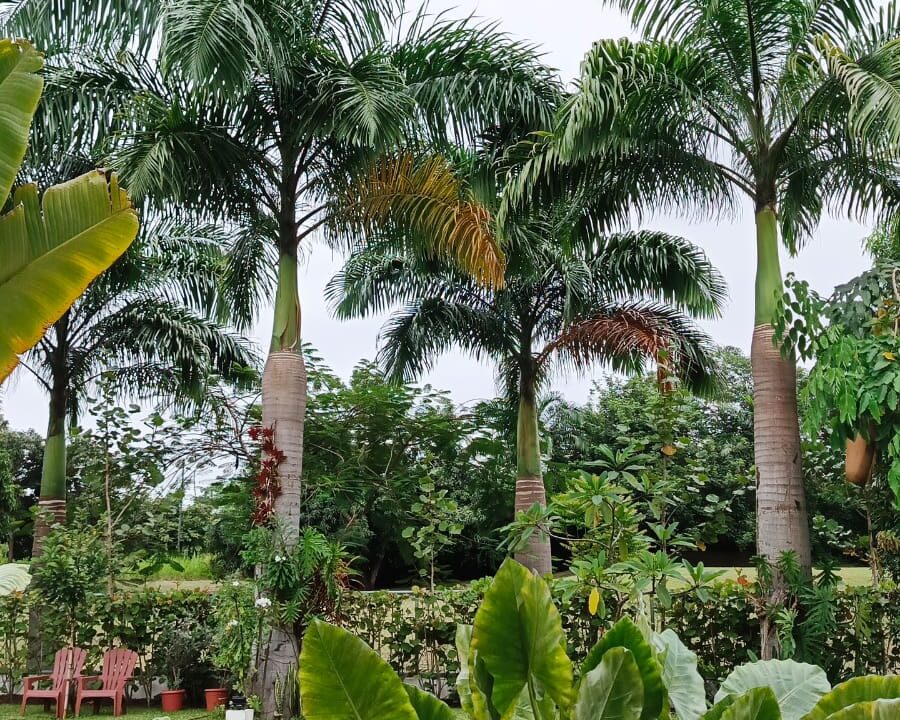 cbd4a3ae-c878-43c3-8103-384bf376cfcc